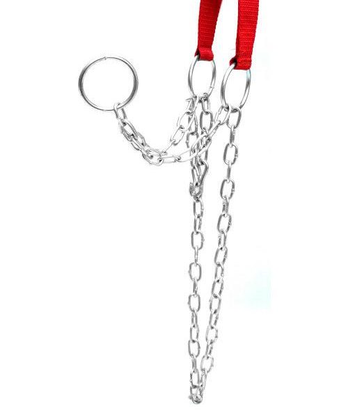 Cabresto Especial Com Corrente 3 Argolas Para Vaca E Bezerro Couros Maia